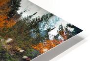 cv00002 HD Metal print