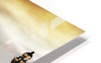 dh00003 HD Metal print