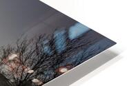 dh00010 HD Metal print