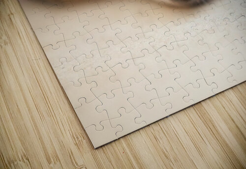 Streetdog Marcel Derweduwen puzzle