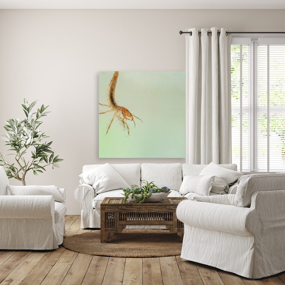 predatory diving beetles Reproduction
