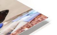 Streetdog HD Metal print