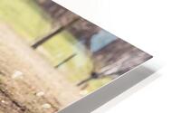 _MG_1896 HD Metal print
