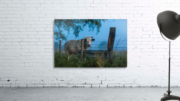 Twilight cow Wall Preview