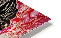 CARASVEMOS11 HD Metal print