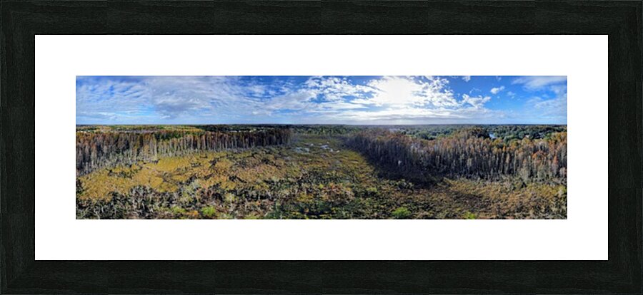 Marsh Panorama Picture Frame print