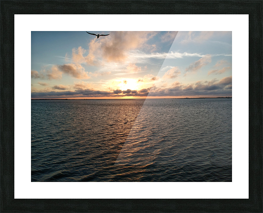 Birdy Picture Frame print