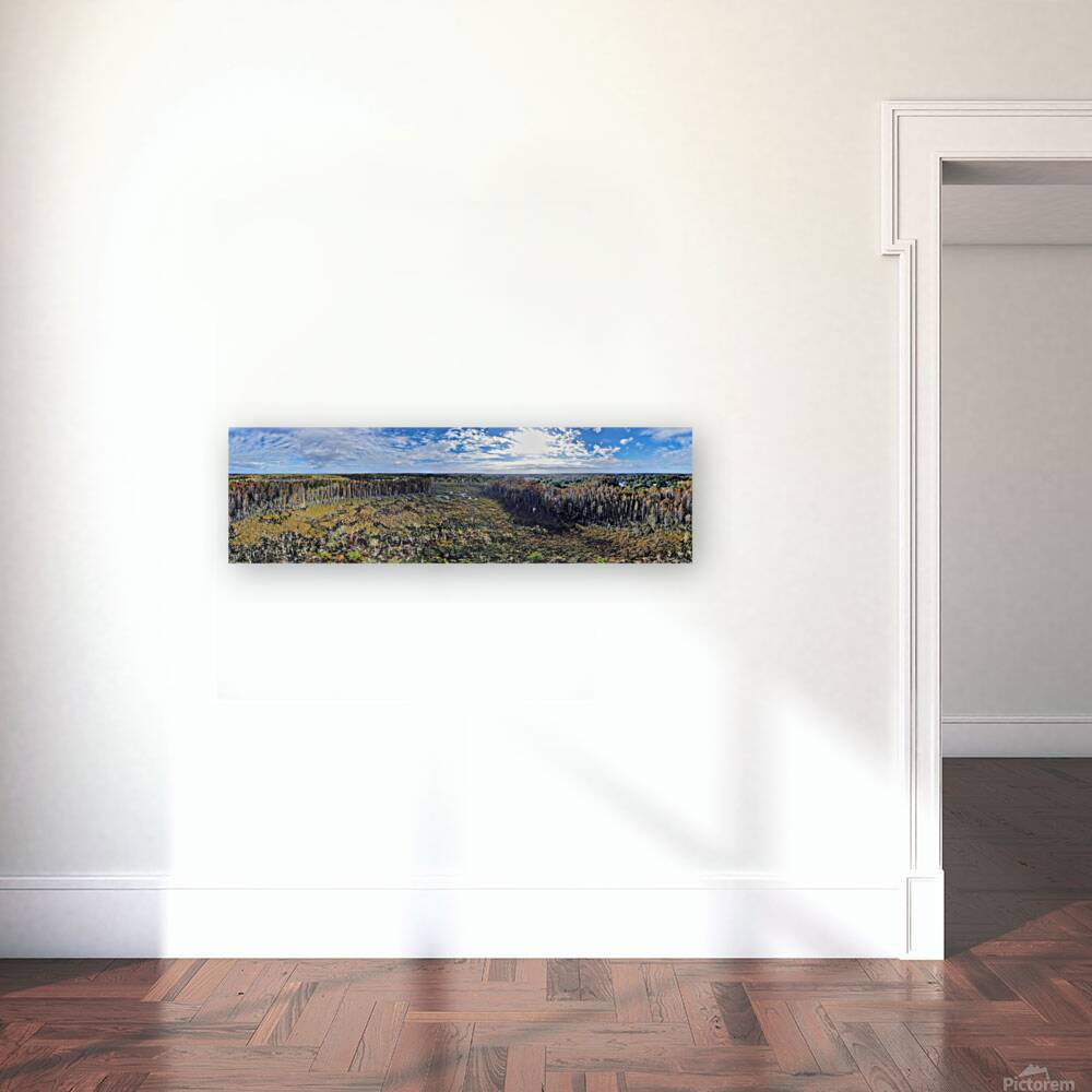 Marsh Panorama Reproduction