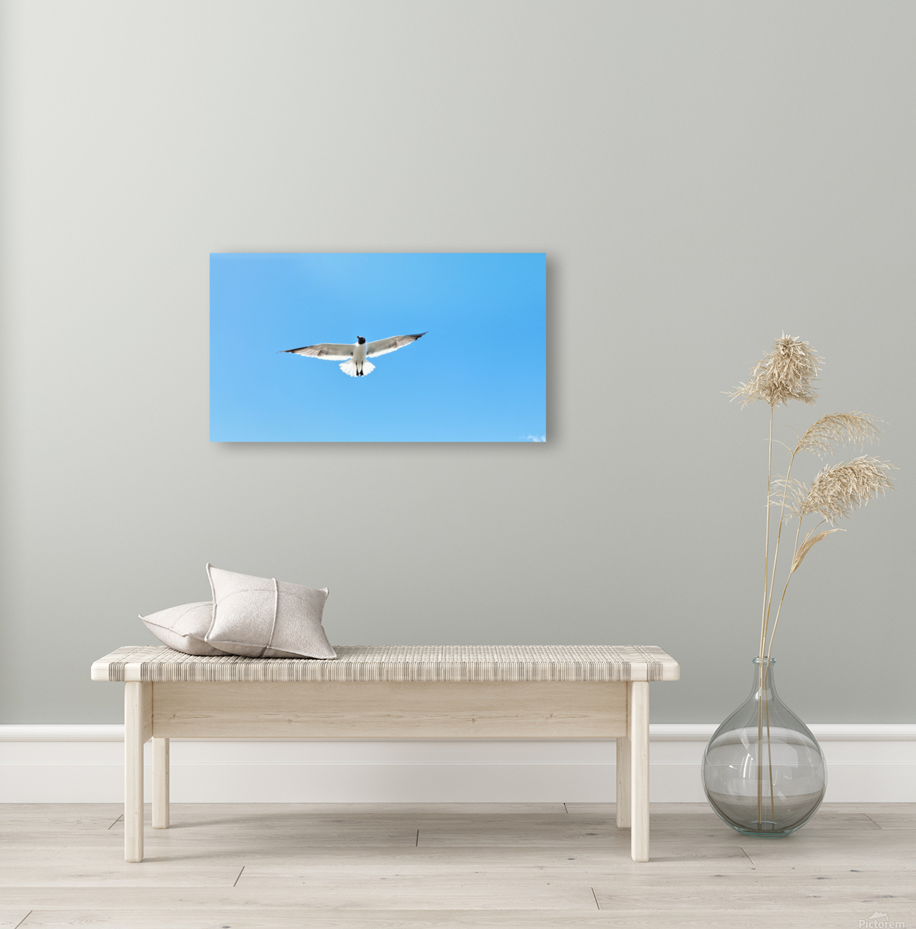 Bird Reproduction