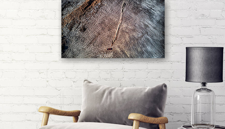 WORK HORSE by Marie Louis Gallery