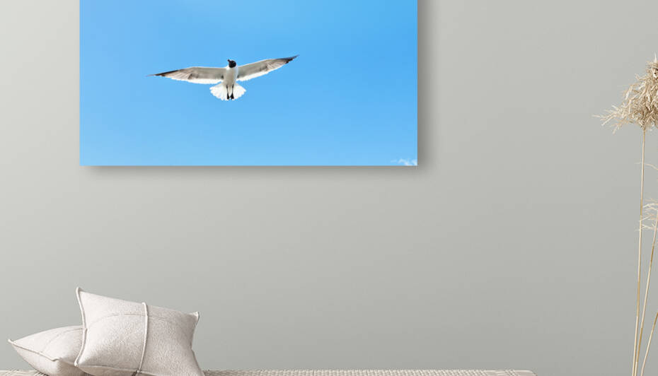 Bird by Marie Louis Gallery