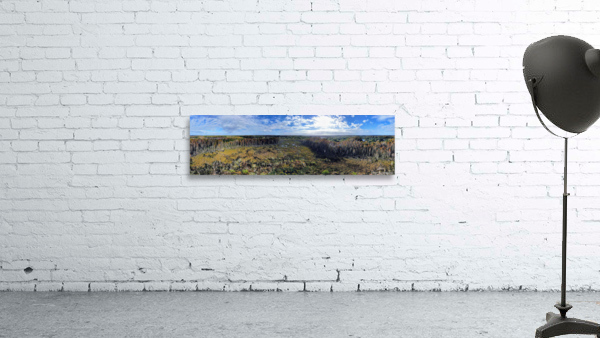 Marsh Panorama Wall Preview