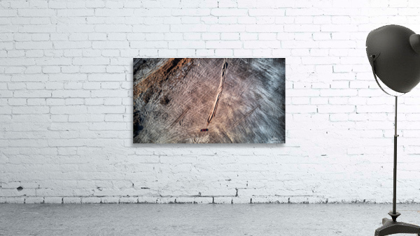 WORK HORSE Wall Preview