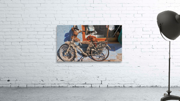 Barnacle Bike Wall Preview