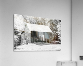 Old Rustic Shed Acrylic Print