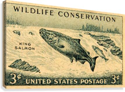 Wildlife Conservation Stamp