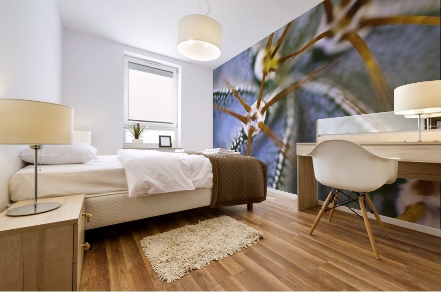 Cactus Plant Mural print