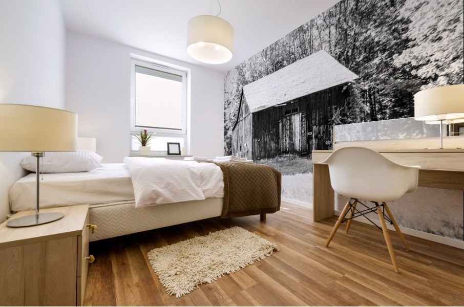 Old Rustic Shed Mural print
