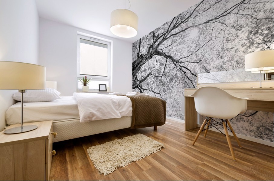 Tree Branches in Light Mural print