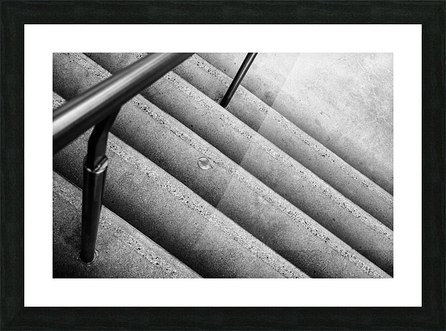 Descending Leaf Picture Frame print