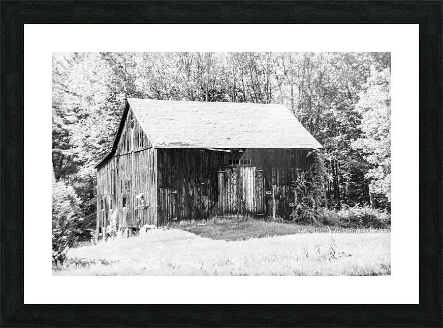 Old Rustic Shed Picture Frame print