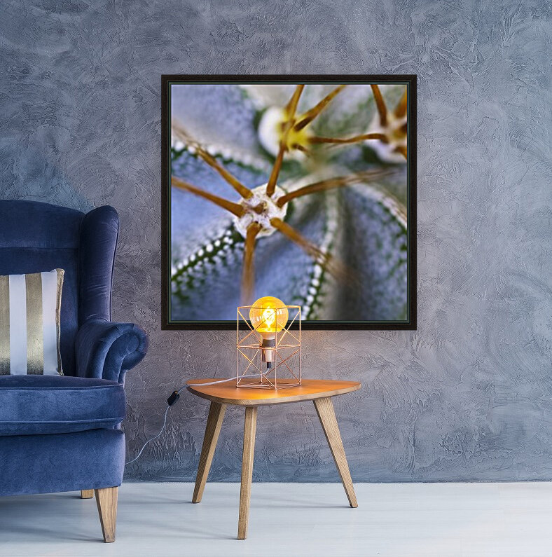 Cactus Plant Reproduction