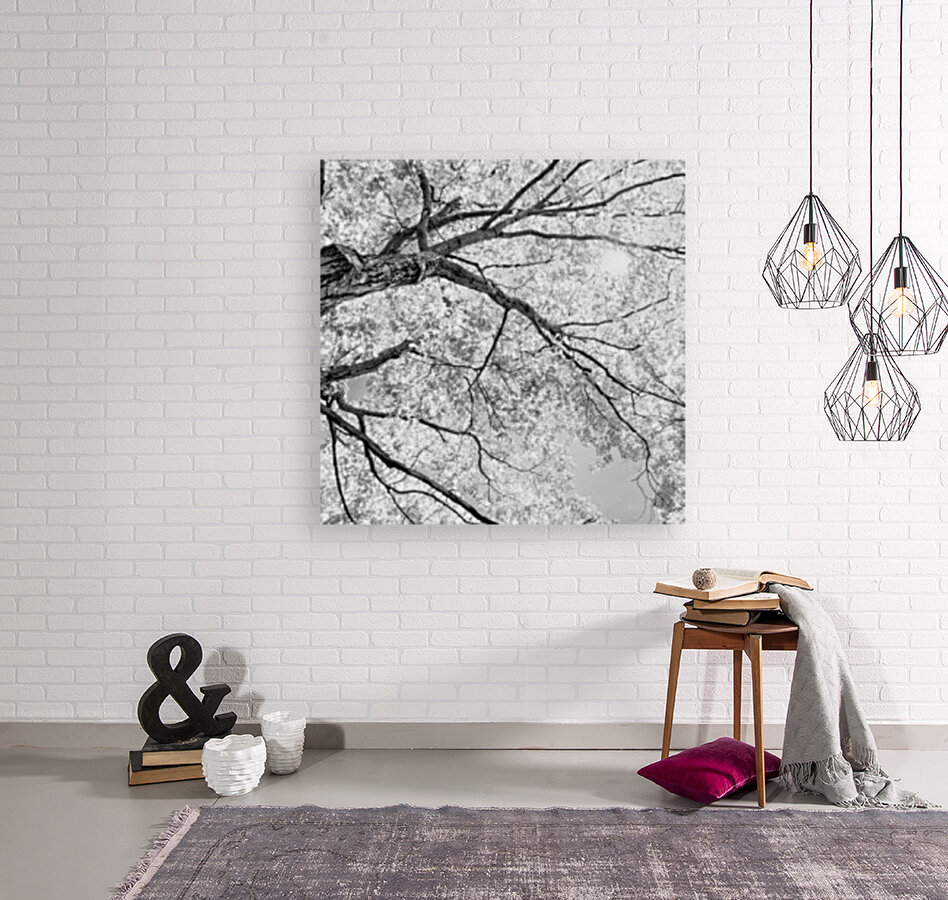 Tree Branches in Light Reproduction