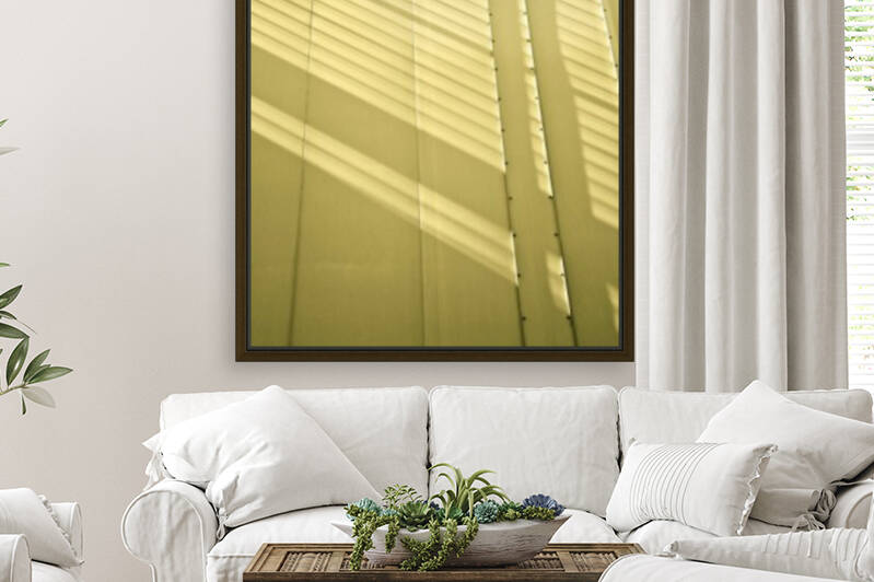 Canvass and Shadows by David Pinter