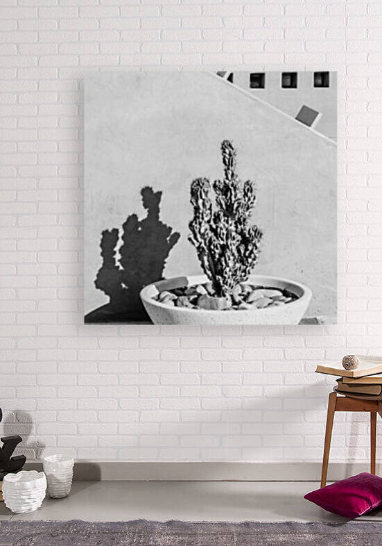 Cactus in Concrete Bowl by David Pinter