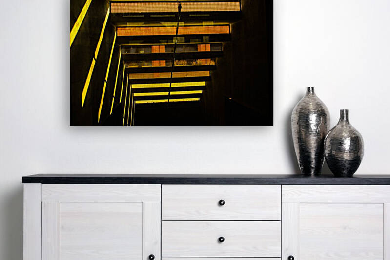 Windows Mesh and Light by David Pinter