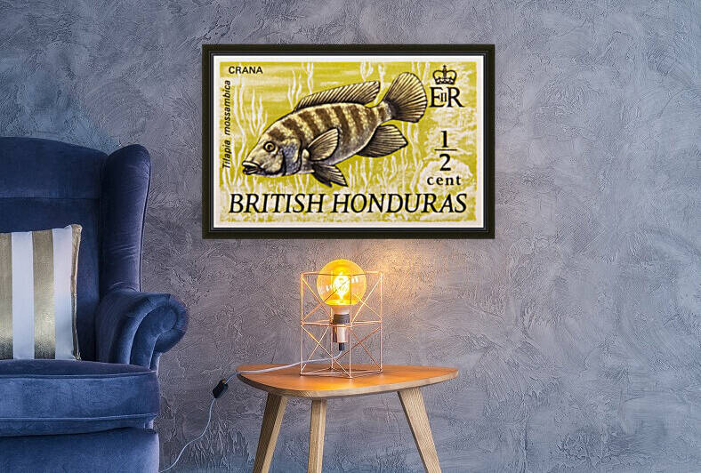 British Honduras 1 Stamp by David Pinter