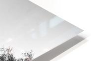 Wall Shadow HD Metal print