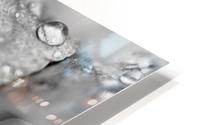 Droplets on Leaf HD Metal print