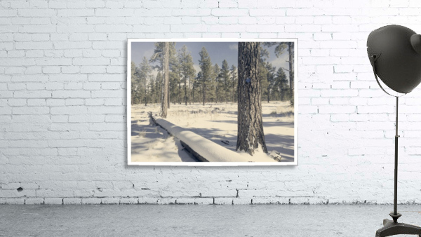 Rosey Trail Wall Preview