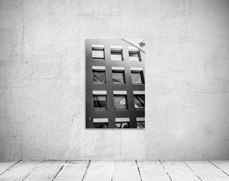 The Bird Wall Preview