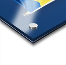 flag of Ukraine Acrylic print