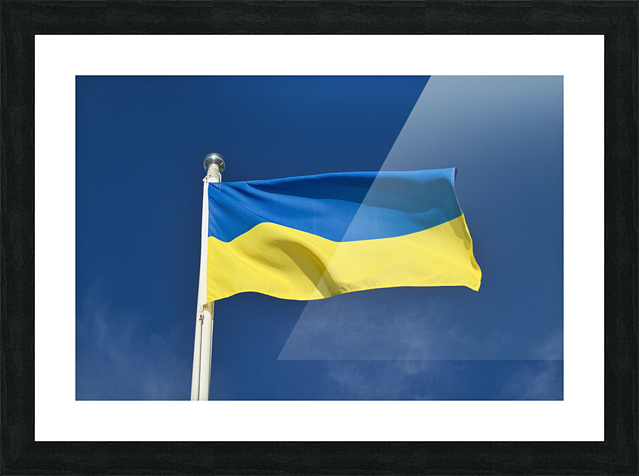 flag of Ukraine Picture Frame print