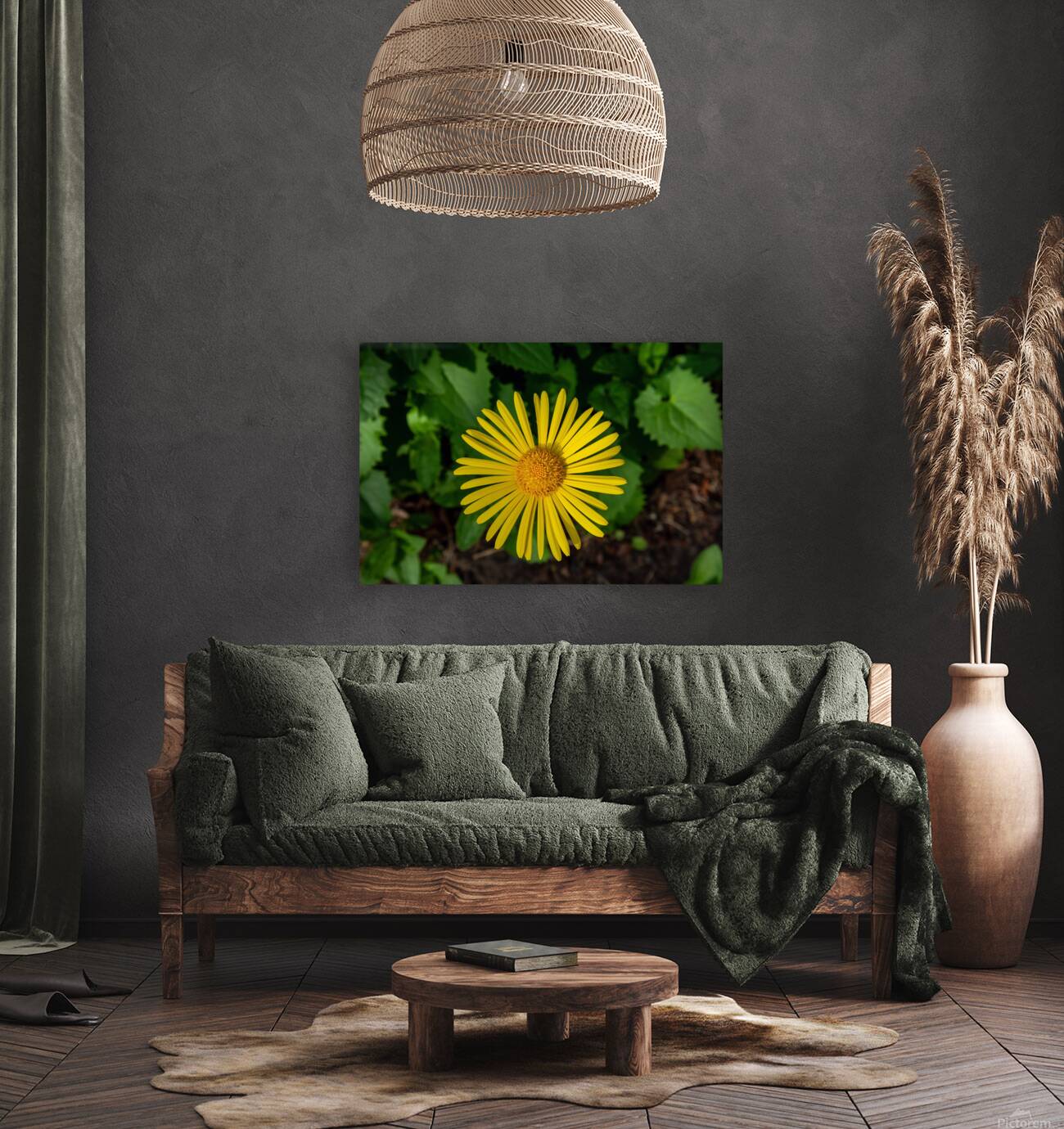 Leopards bane Reproduction