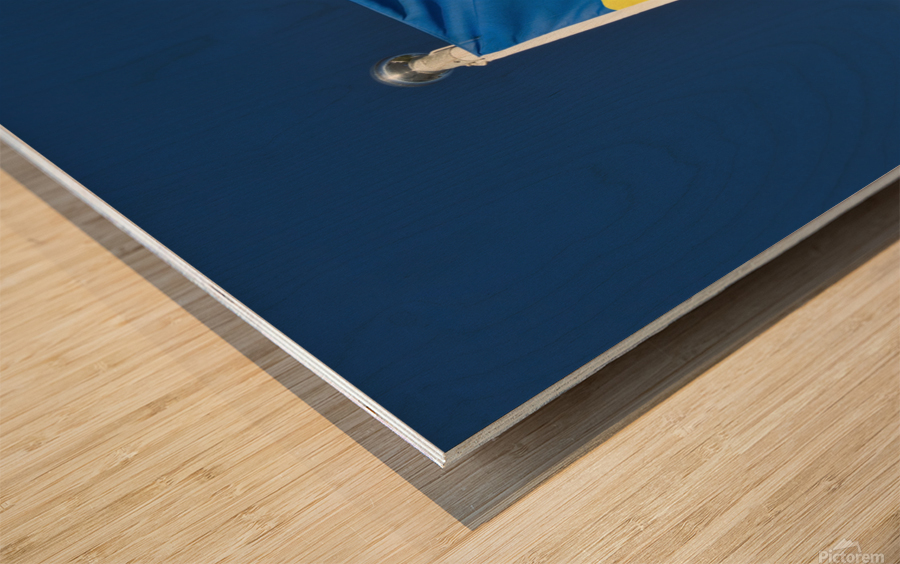 flag of Ukraine Wood print