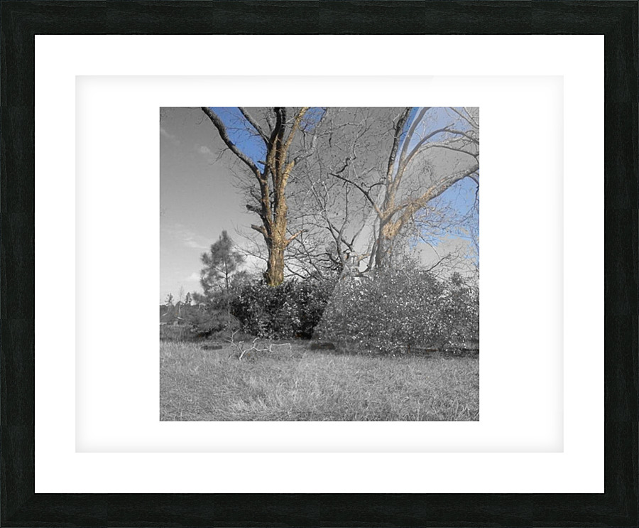 The Two Guardians Picture Frame print