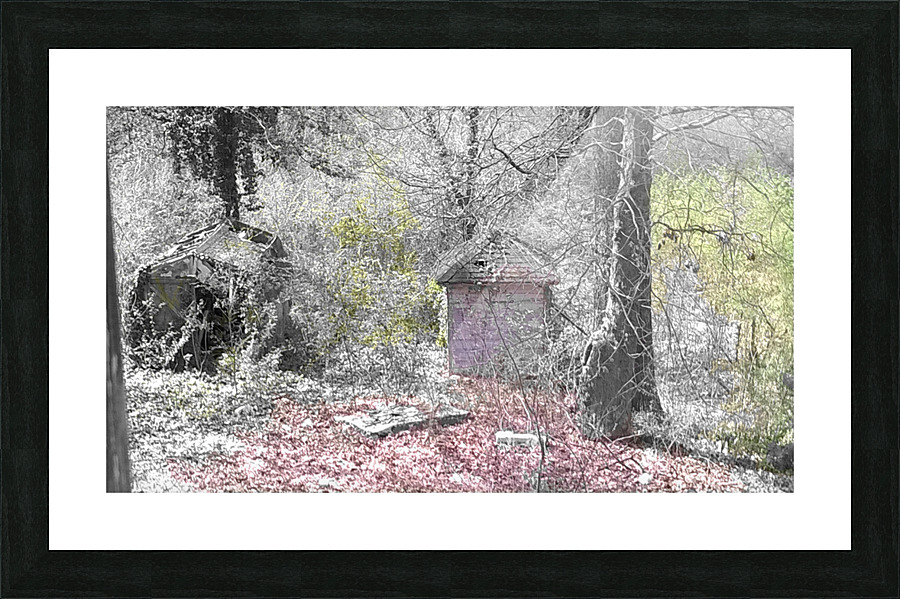The Old Shack Picture Frame print