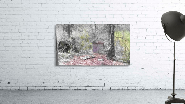 The Old Shack Wall Preview