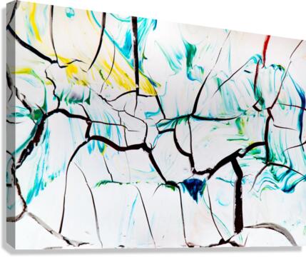 Cracked Image Canvas Print