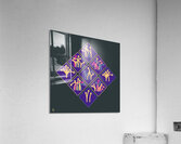 Traffic Circus 024 Acrylic Print