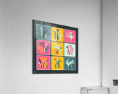 Traffic Circus 046 Acrylic Print