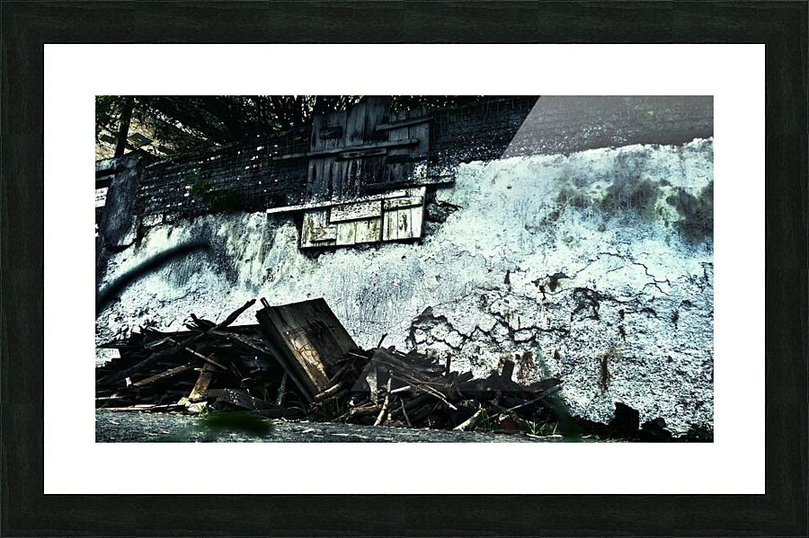 Wings on Fire  Picture Frame print