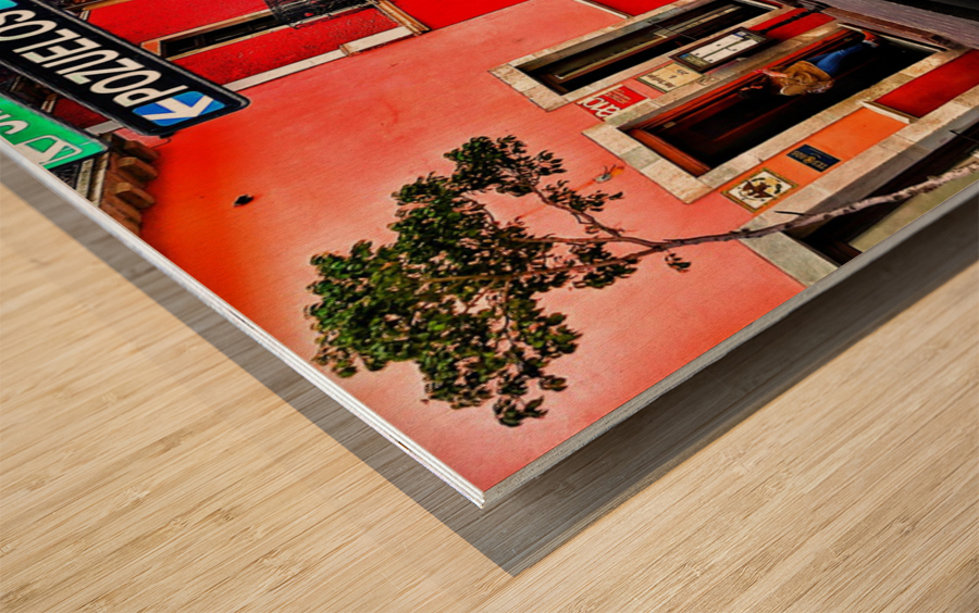 Oh my achy feet  Wood print