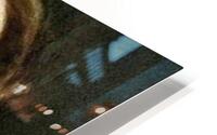 IMG 8827 HD Metal print