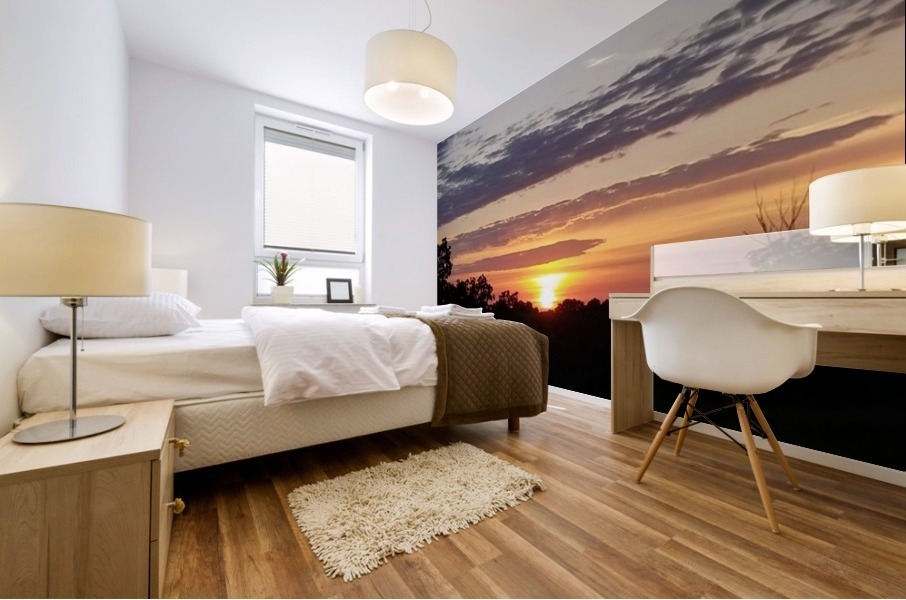 Rise & Shine Mural print