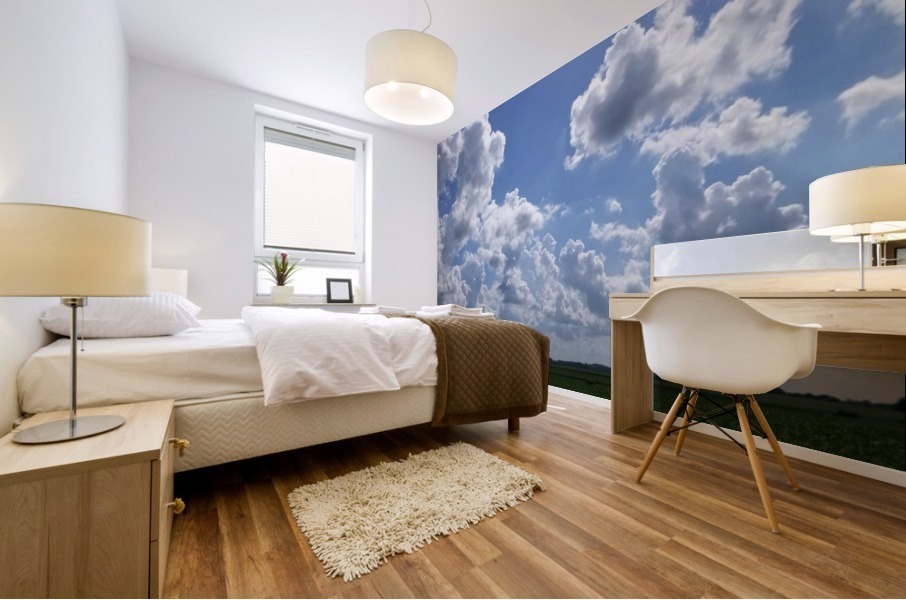 Breath taking Mural print